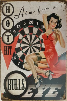 Bulls eye darts pin up metalen wandbord