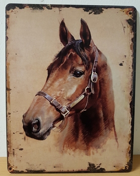 Bruin paard portret metalen wandbord poster