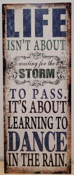 LIfe about the storm to pass dance in the rain metal