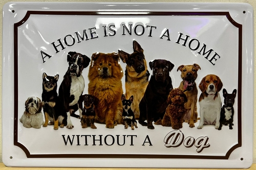 Home without a Dog van metaal