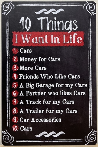 10 things want in Life metalen wandbord