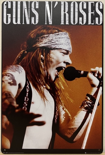 Guns N Roses AXL Rose wandbordvan metaal