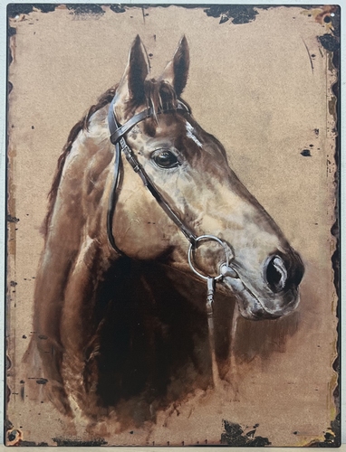 Bruin paard kijkt rechts metalen wandbord