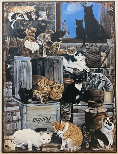 Katten poezen kratten wandbord