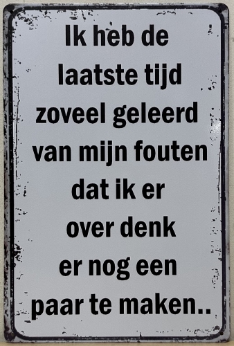 Geleerd van mijn Fouten wandbord van metaal 30x20 cm