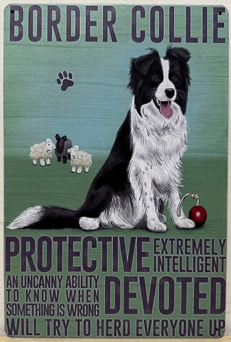 Border Collie hond Eigenschappen wandbord van metaal