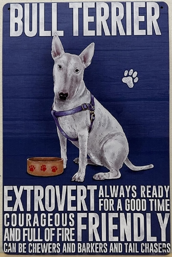 Bull Terrier hond Eigenschappen wandbord van metaal