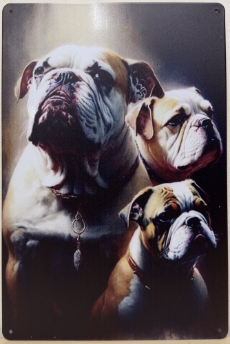 Bulldog 3  collage wandbord van metaal