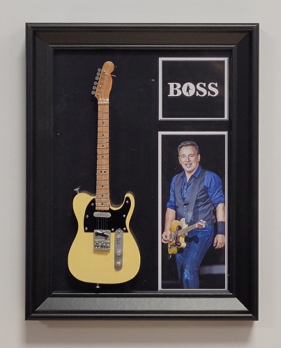 Lijst Bruce Springsteen Boss enkele gitaar