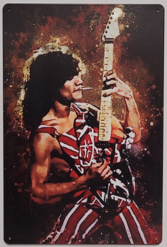 Eddie van Halen Gitarist wandbord van metaal