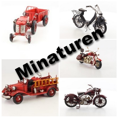 Blikken miniaturen